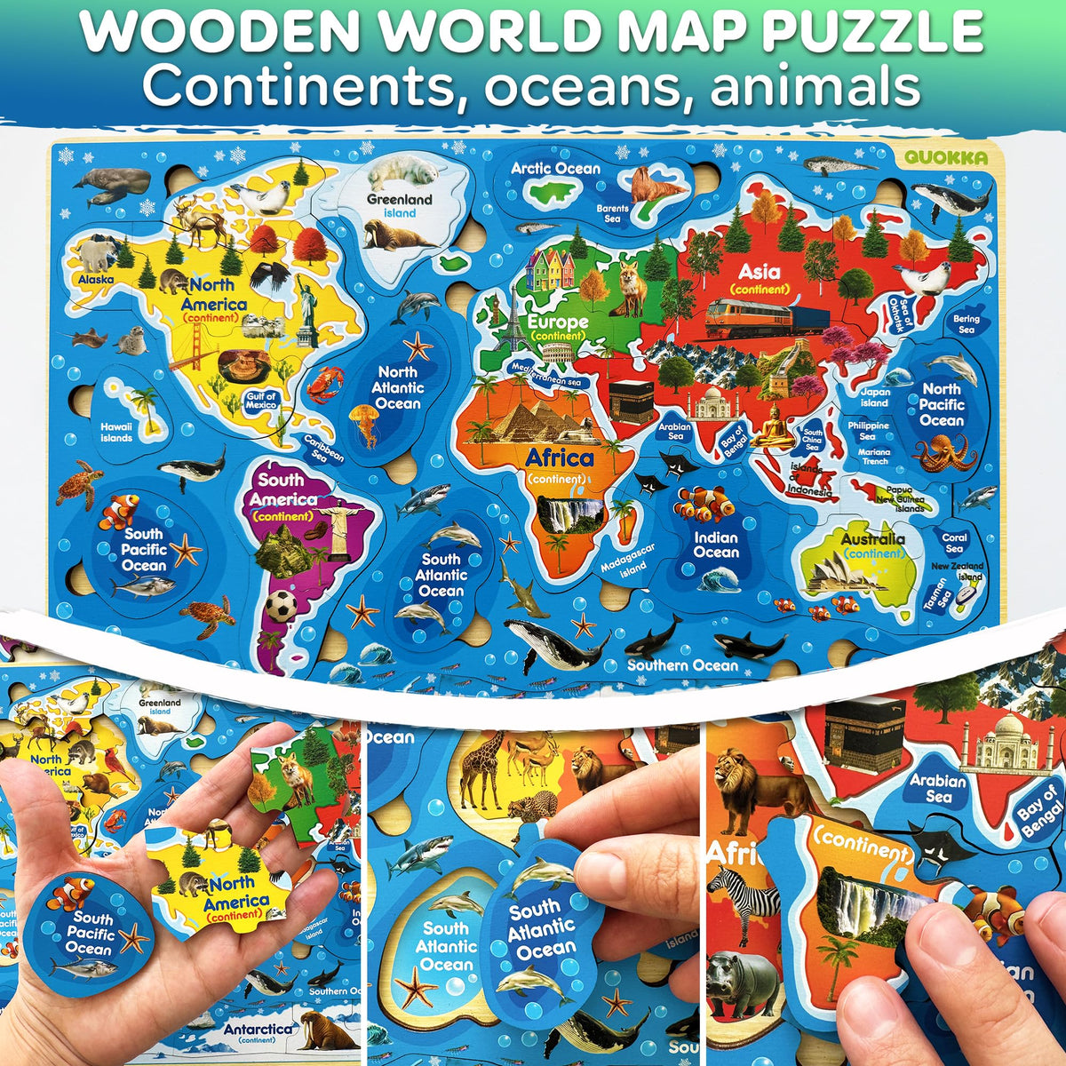 Quokka USA map color-coded puzzle pieces aid early shape recognition and location matching