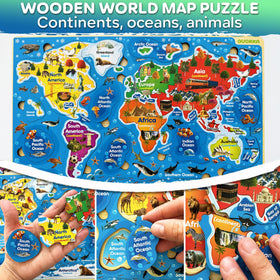 Quokka USA map color-coded puzzle pieces aid early shape recognition and location matching