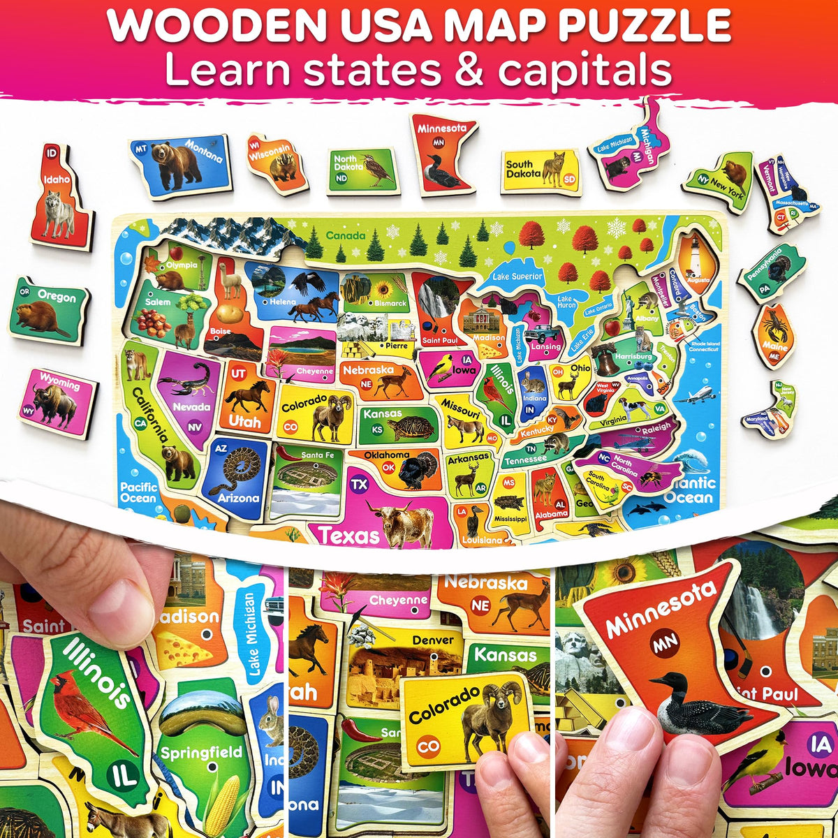 Quokka wooden world map puzzle pieces to explore continents and oceans through interactive play