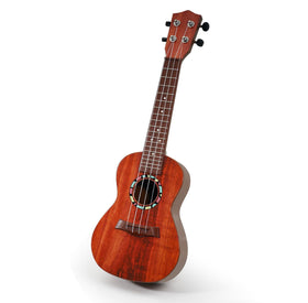 Raimy 21-inch kids guitar with wooden body for easy handling by young learners.