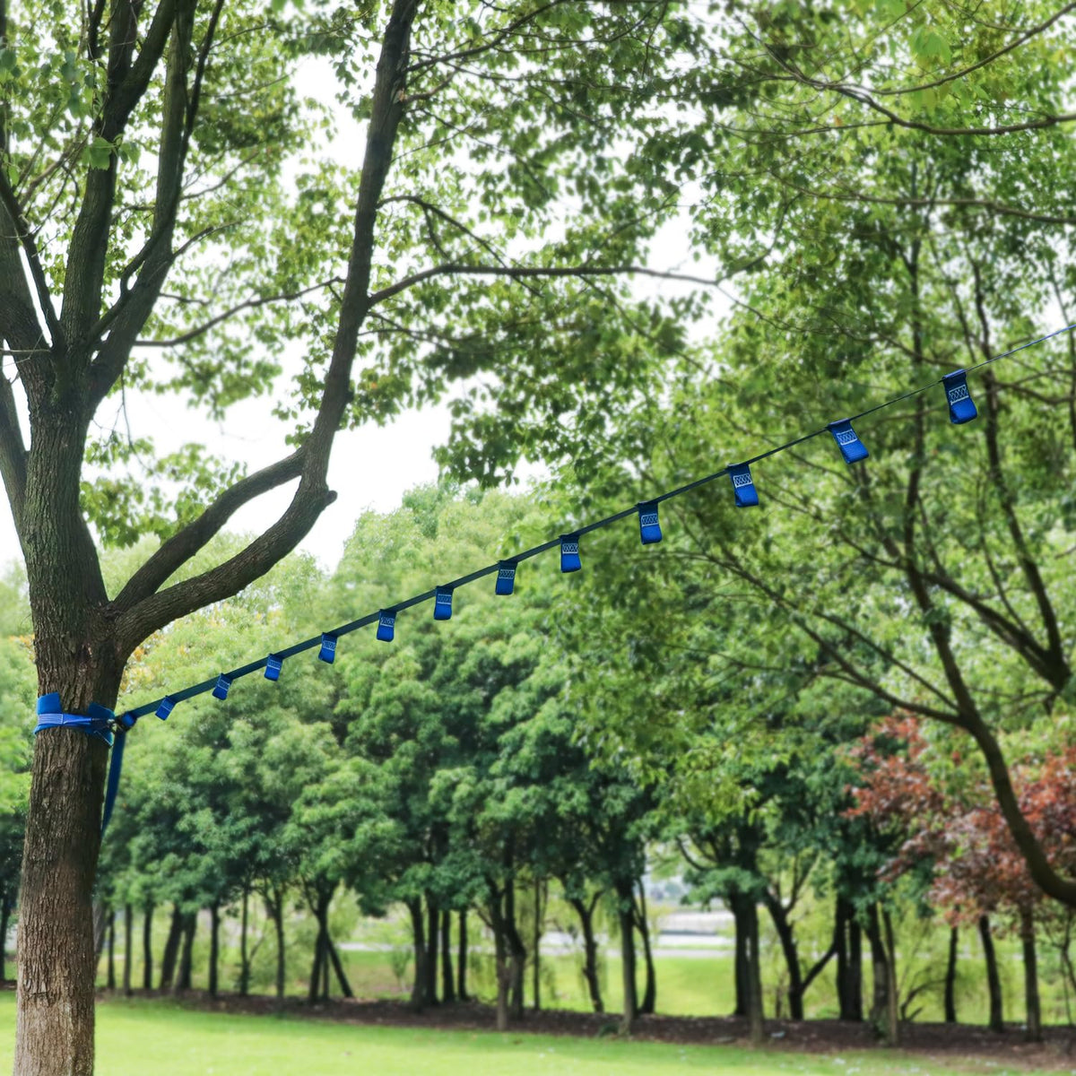 Rainbow Craft Ninja Slackline with safety features and reinforced loops.