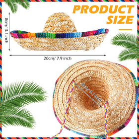 Ramede mini sombrero hat on a child for playful party photos.