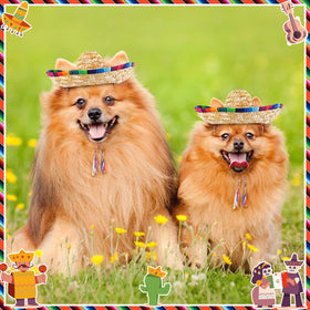 Ramede mini sombrero hat on a pet adds cute, distinctive party flair.