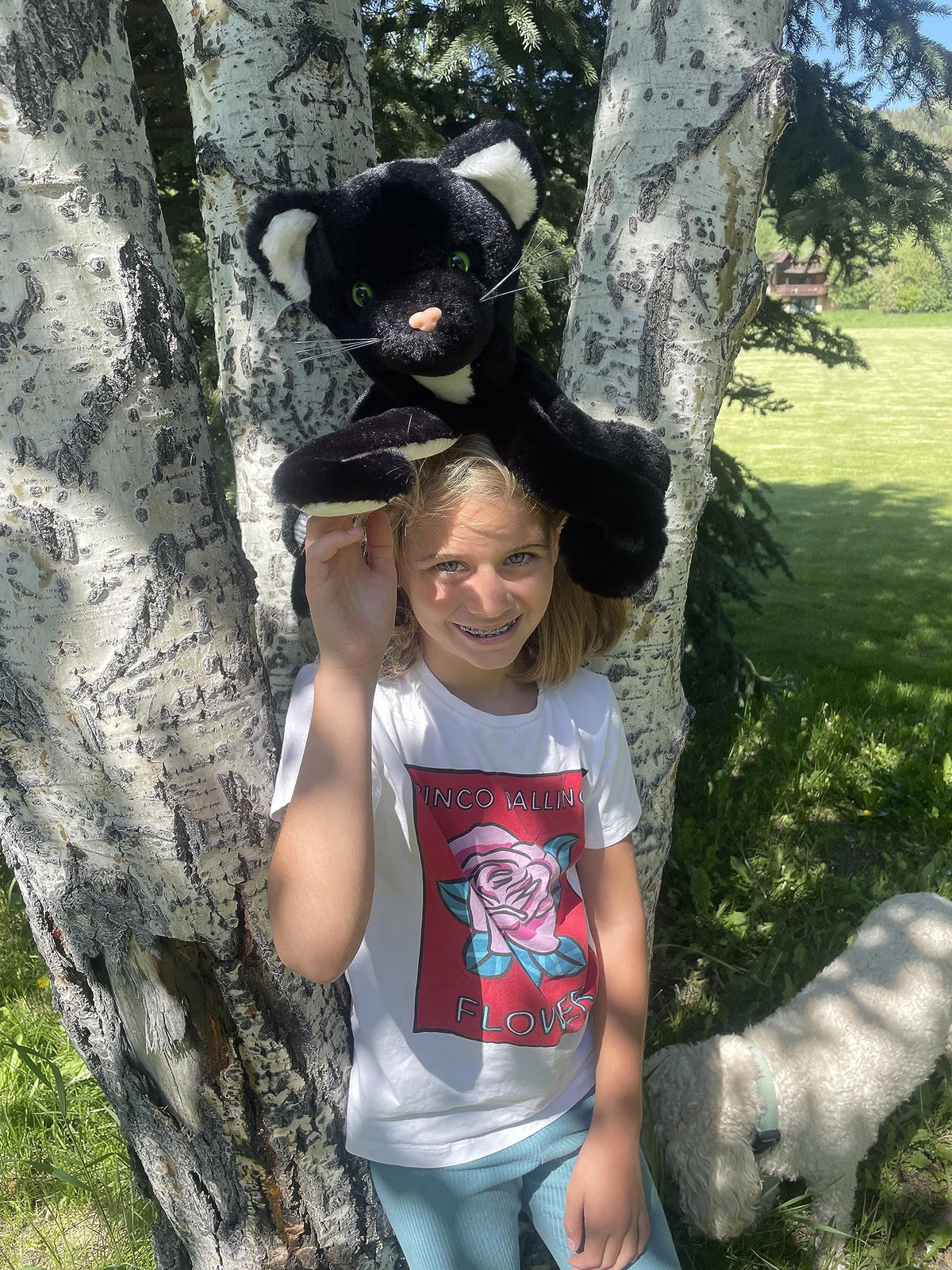 Randimals Octopuss plush packaged as a gift for kids and fans of unique friends.