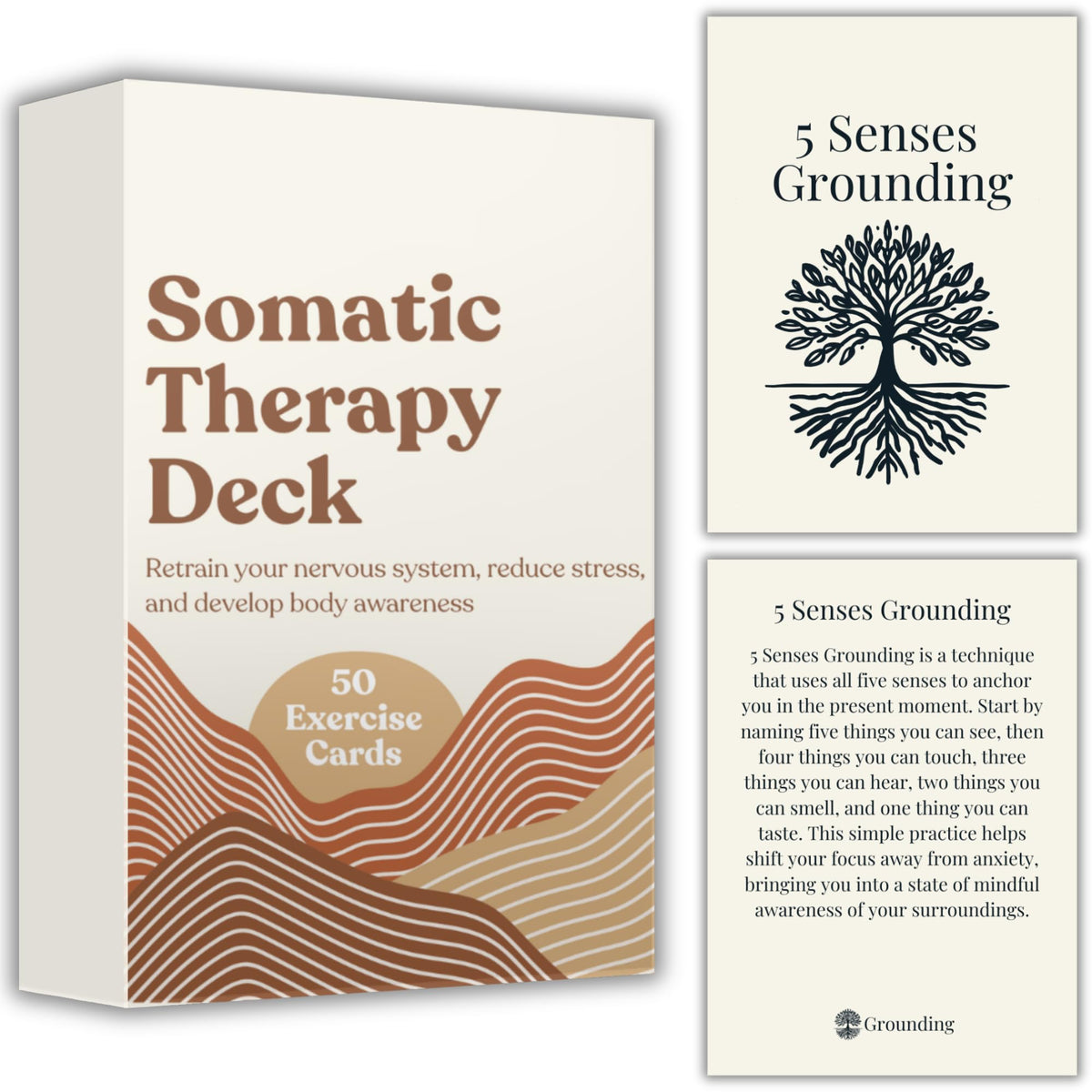 Raptor Studio Somatic Cards daily grounding for calm in busy days.