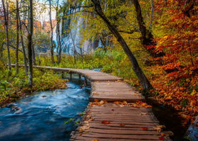 Ravensburger Autumnal Wooden Trail puzzle cover shows warm autumn colors for cozy evenings