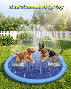 Raxurt splash pad anti-slip texture helps dogs stay steady during play.