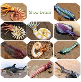 RCOMG Nautilus figurine ideal for cake toppers and aquascapes