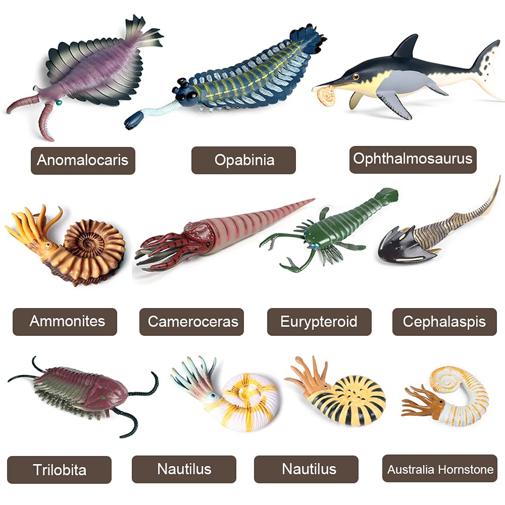 RCOMG Opabinia figurine ideal for education displays and imaginative play