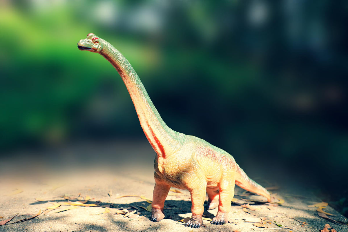RECUR brachiosaurus educational play idea inspires storytelling and learning.