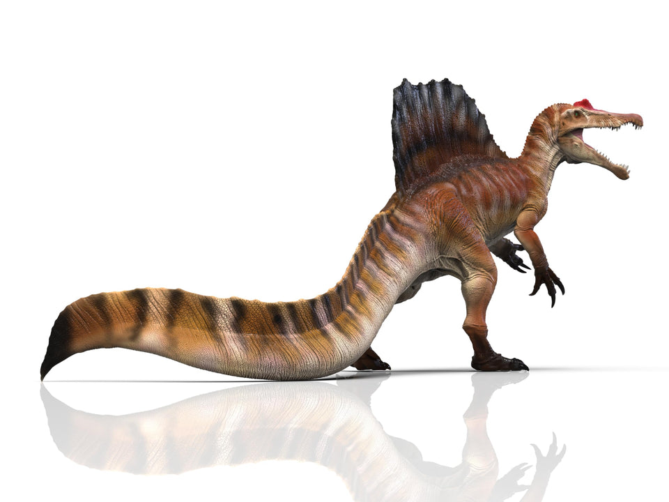 RECUR Spinosarus 18-inch figurine with movable jaw for dynamic display and education.