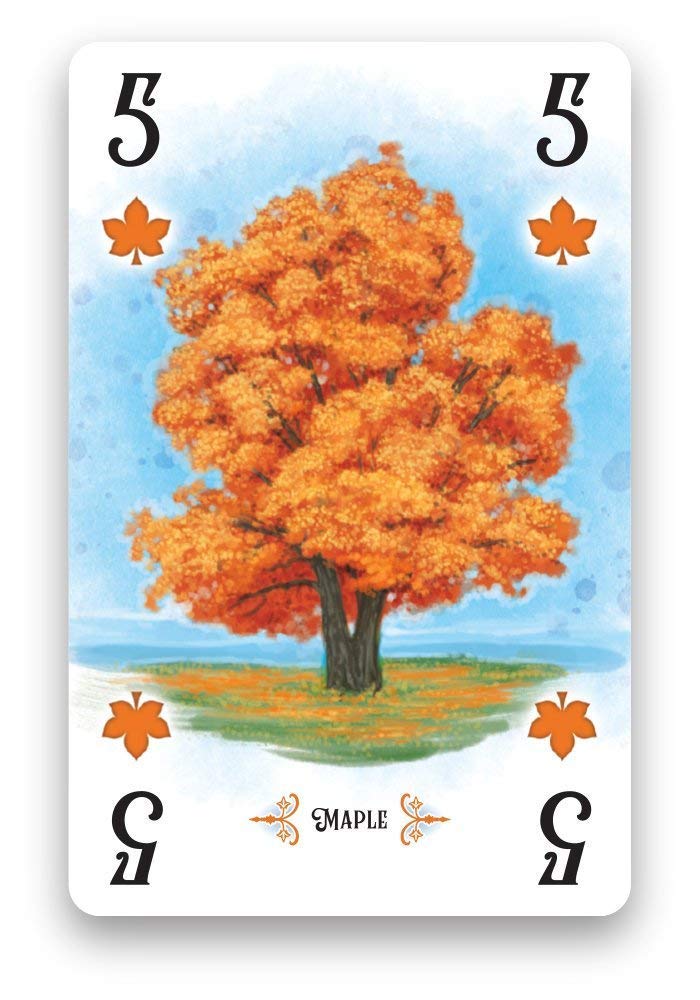 Renegade Arboretum botanical illustrations bring nature-inspired aesthetics to the table.