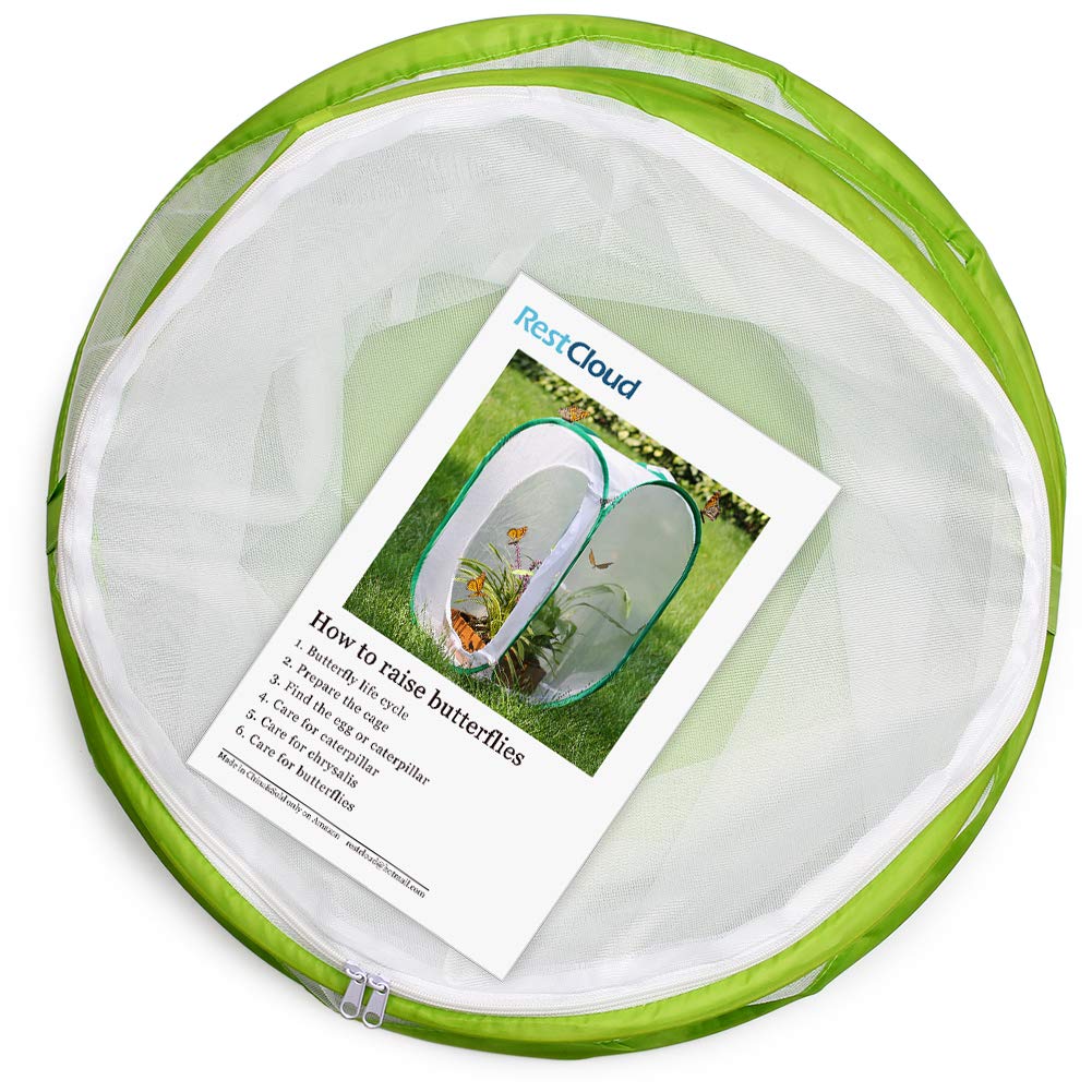 RESTCLOUD Butterfly Habitat collapsible fold-flat design for easy storage after experiments.