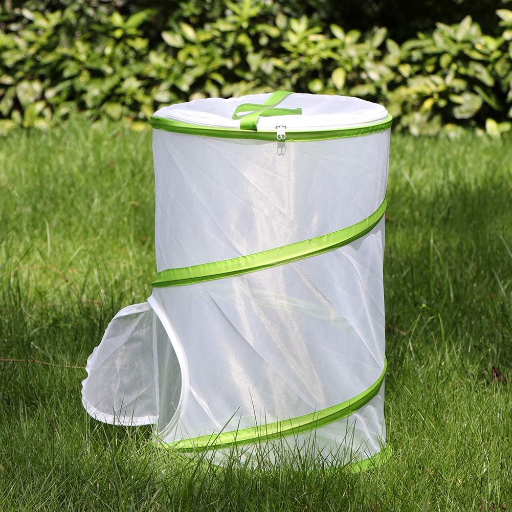 RESTCLOUD Butterfly Habitat side and top doors for feeding without disturbing chrysalises.