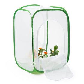 RESTCLOUD caterpillar setup inside habitat demonstrates organized rearing space