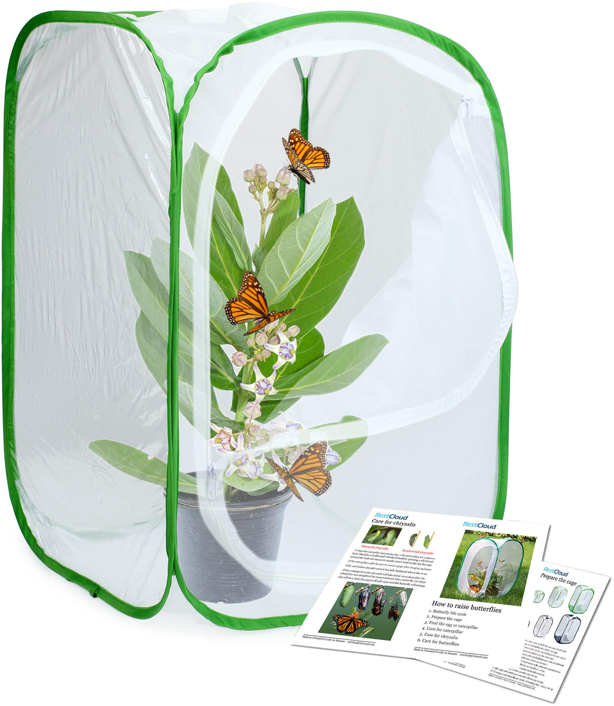 RESTCLOUD monarch habitat clear vinyl window for chrysalis observation.