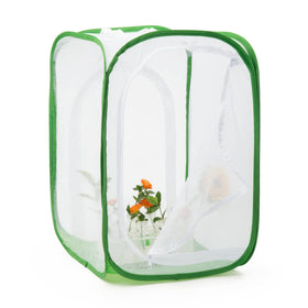 RESTCLOUD monarch habitat clear window panel enabling family observation