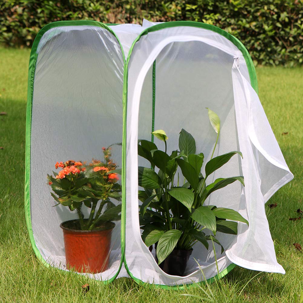 RESTCLOUD monarch habitat five-mesh-panel design ensures airflow.