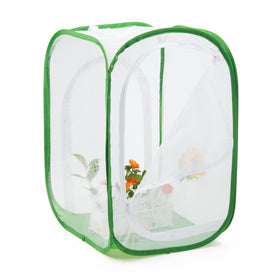 RESTCLOUD monarch habitat front view emphasizes clear window for watching metamorphosis