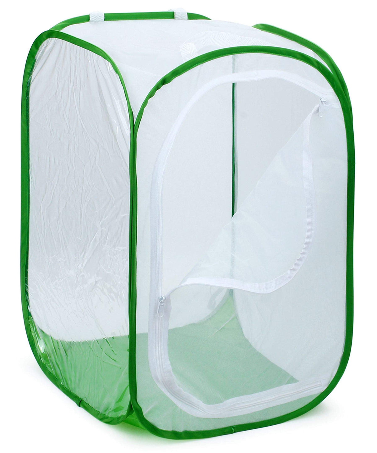 RESTCLOUD Monarch habitat, fully assembled, with a clear window for real-time observation.
