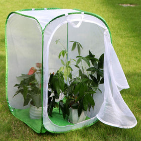 Breathable mesh panels provide airflow while keeping caterpillars secure.