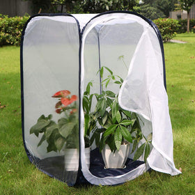 RESTCLOUD monarch habitat mesh panels promote airflow for caterpillar comfort