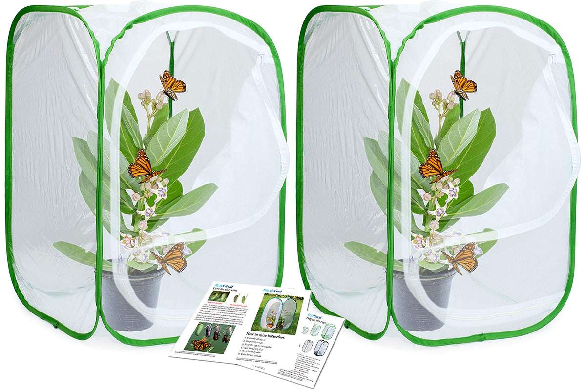 RESTCLOUD monarch habitat pop-up setup enables easy caterpillar viewing.