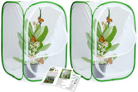 RESTCLOUD monarch habitat pop-up setup enables easy caterpillar viewing.