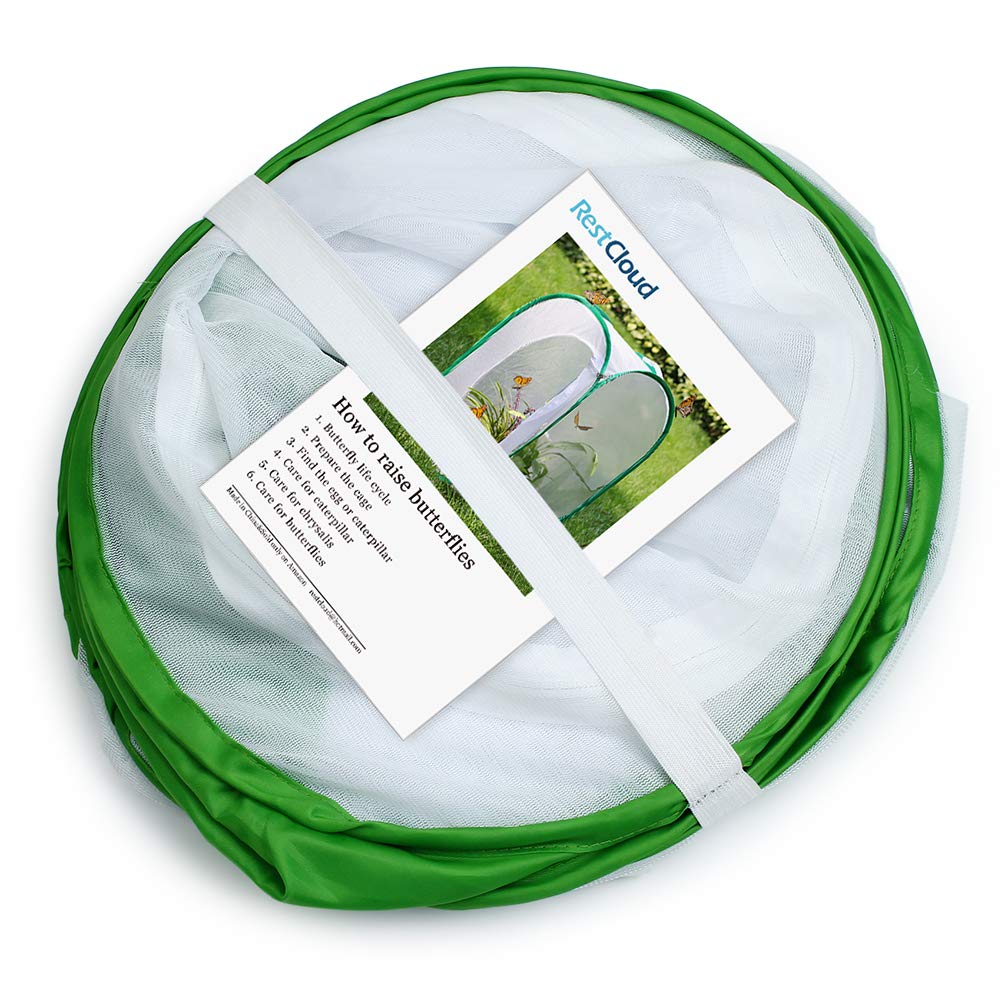 RESTCLOUD side door and zipper simplify feeding and releasing butterflies.