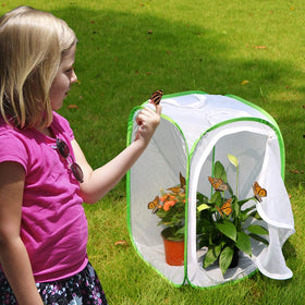 RESTCLOUD monarch habitat square profile provides stable rearing space.