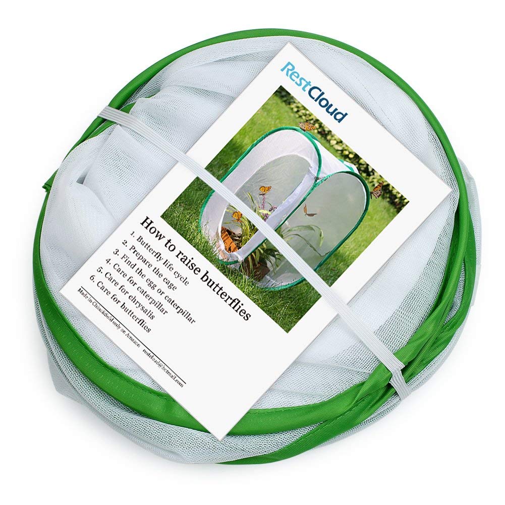 RESTCLOUD quick-start guide included to aid beginner butterfly rearing