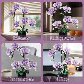 RGXRGX Durable Building Pieces — high-quality blocks for sturdy display