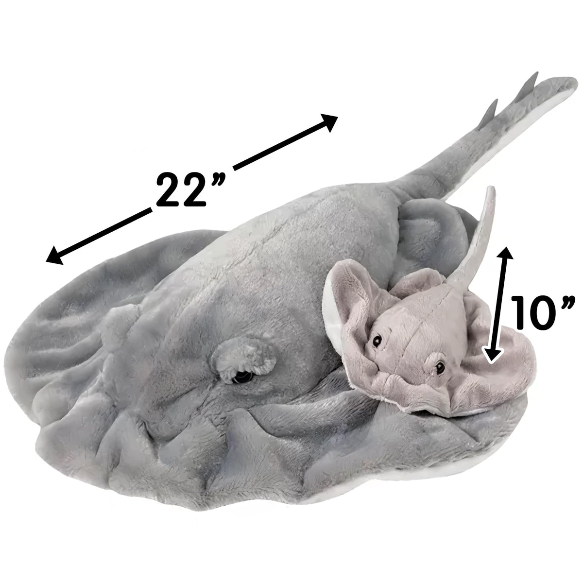Rhode Island Novelty Birth of Life stingray plush durable hang-tag display