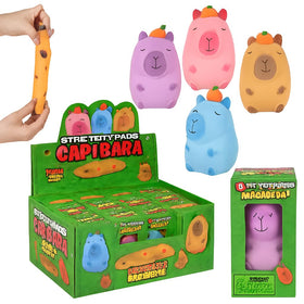Rhode Island Novelty kawaii capybara toy front view with colorful squishy sand appeal