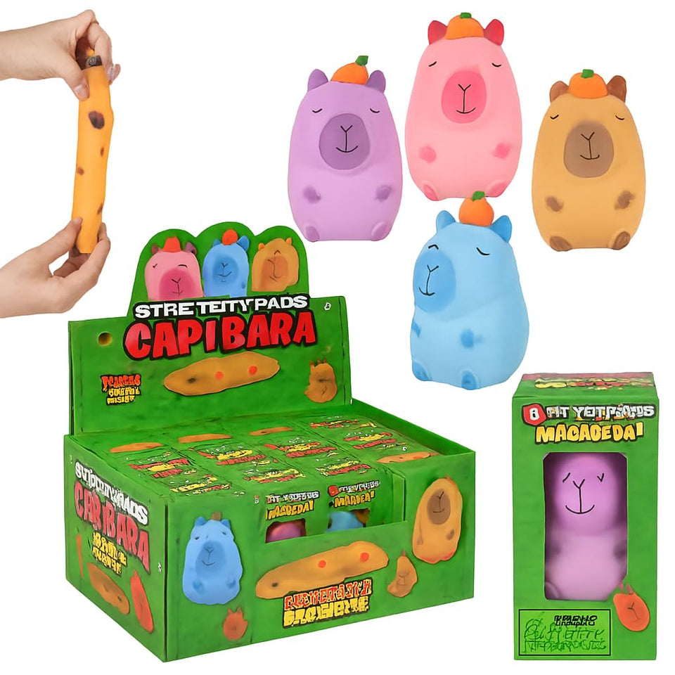 Rhode Island Novelty kawaii capybara toy front view with colorful squishy sand appeal