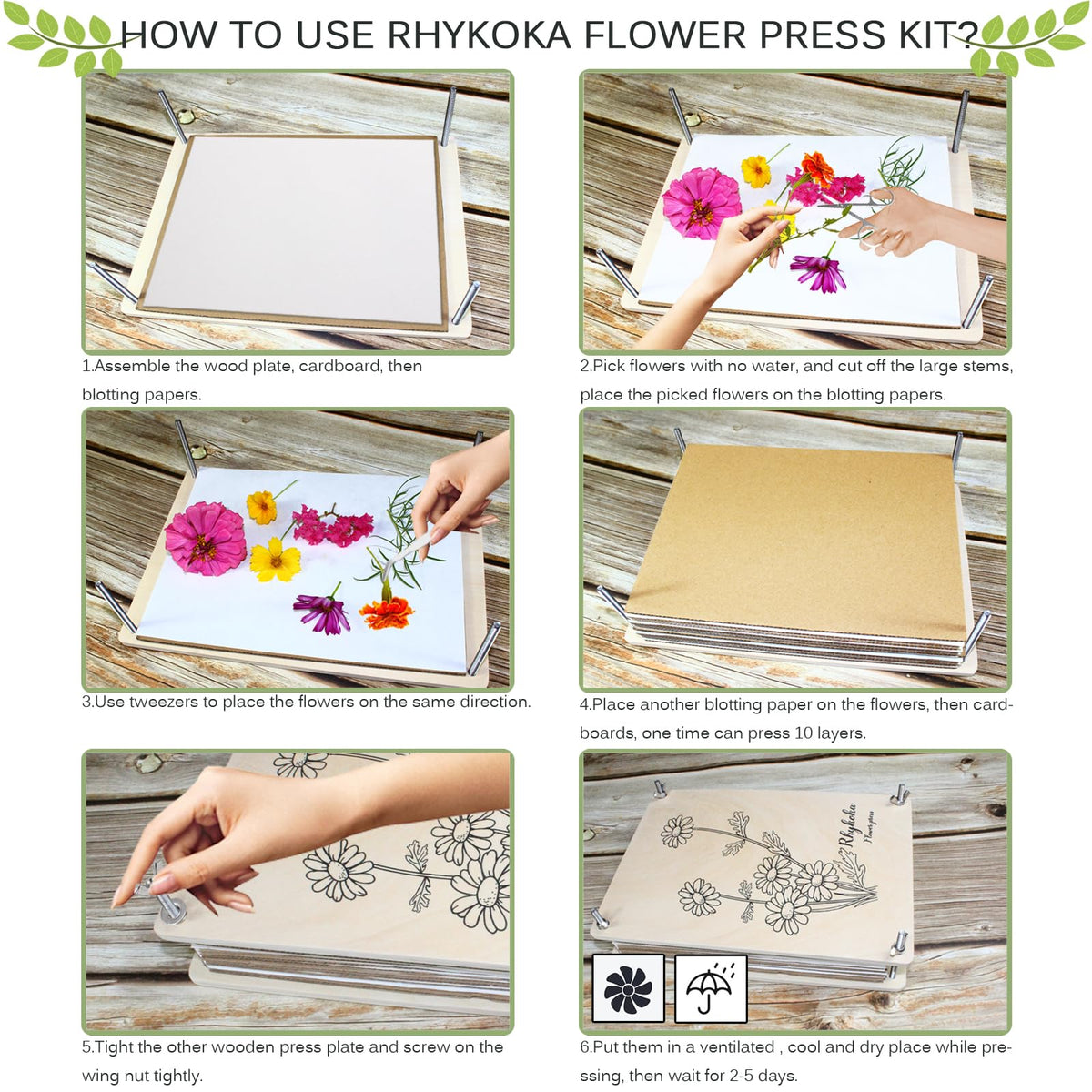 Rhykoka blotting sheets absorb moisture for crisp preserved botanicals.
