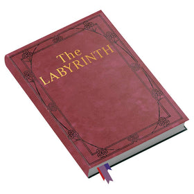 River Horse Labyrinth Adventure Game: open box shows components for immediate play.