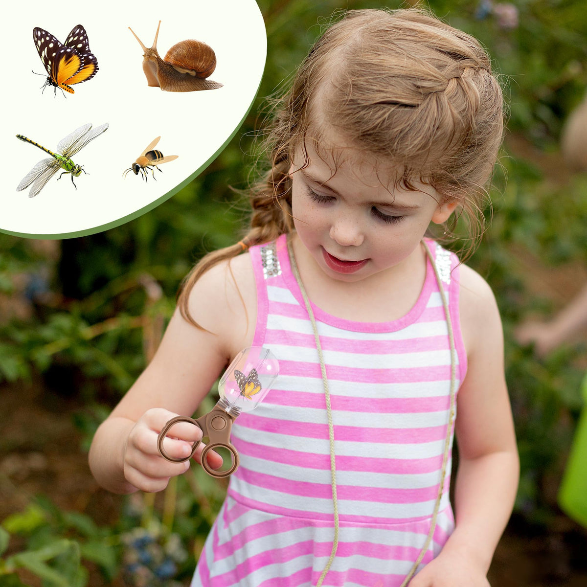 Robotime clamp tool aiding precise insect handling outdoors