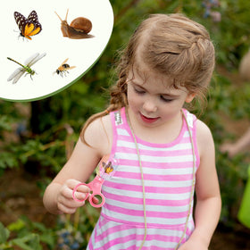 ROBOTIME field guides for backyard wildlife discovery