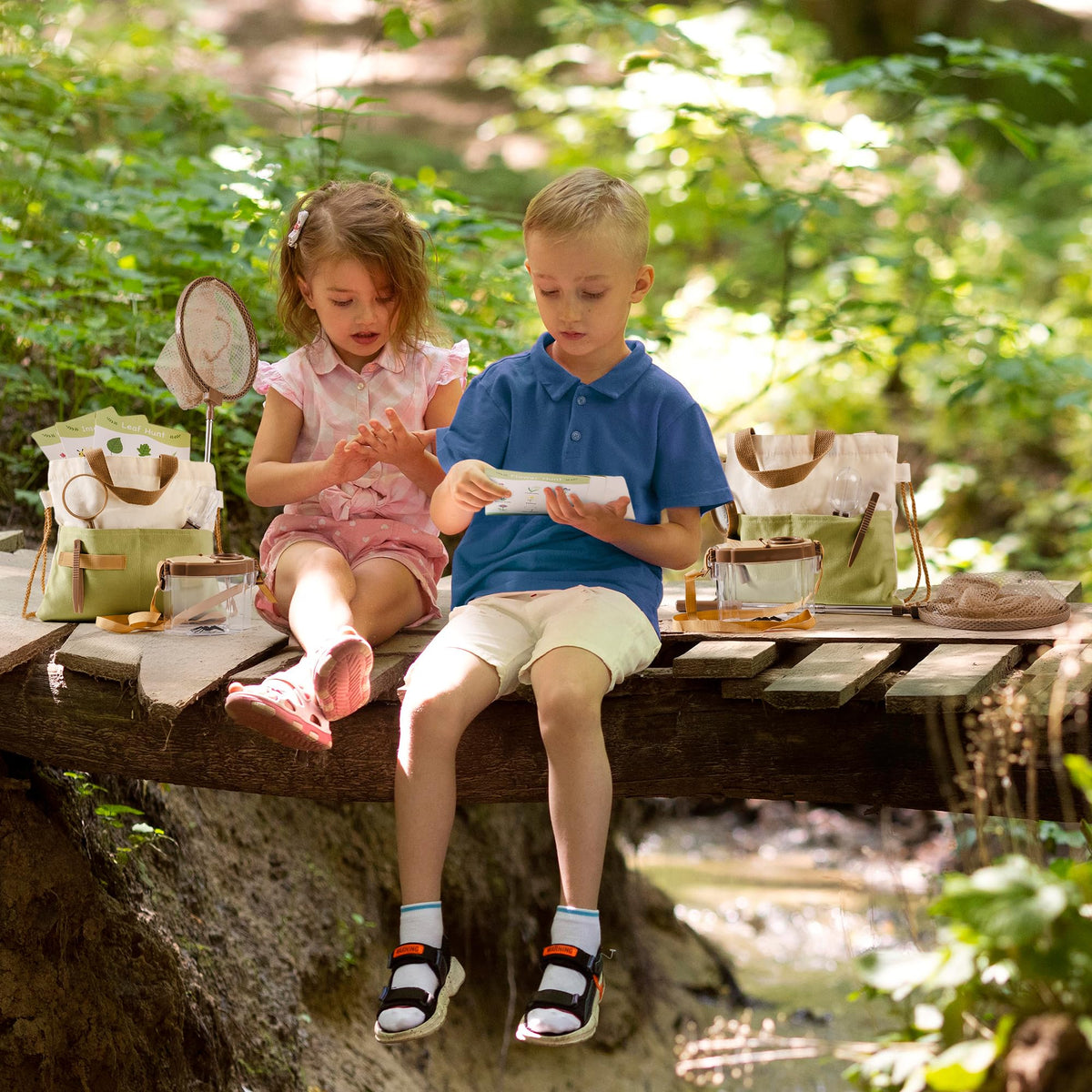 Robotime identification cards support learning about plants and bugs
