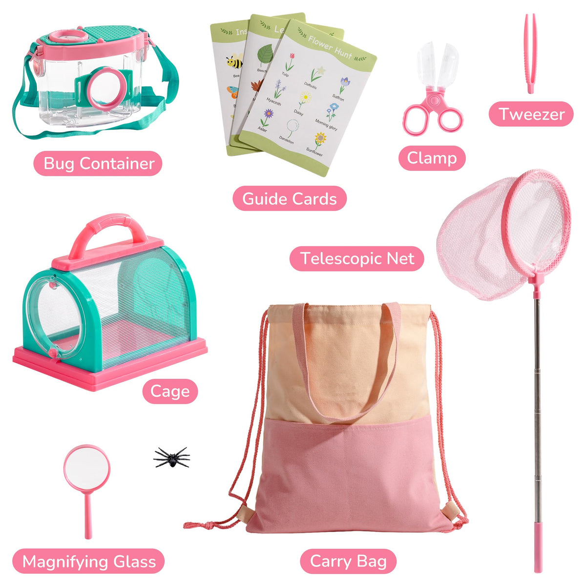 ROBOTIME bug container in pink for safe observation of insects