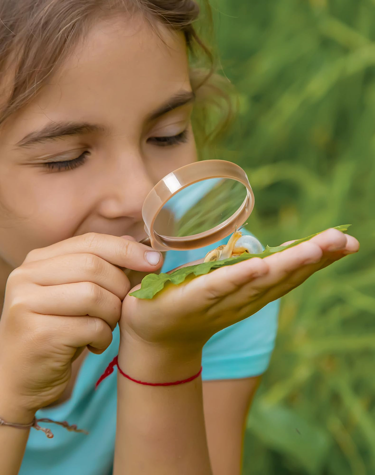 ROBUD capture cage provides a secure space for small creatures.