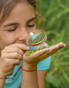 ROBUD capture cage provides a secure space for small creatures.