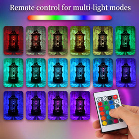 Roine Lxux 3D puzzle light includes clear assembly guide and quality check