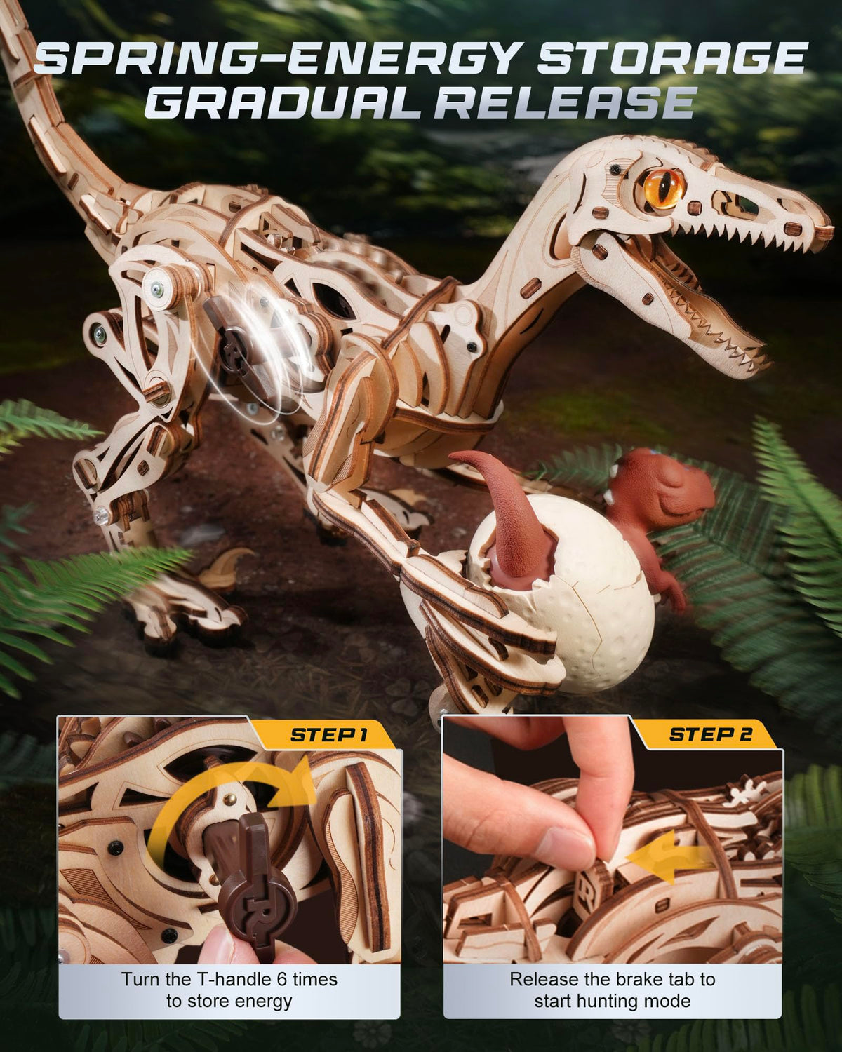 ROKR dino in motion mechanical display reveals the full power chain.