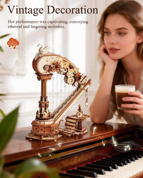 ROKR Premium wooden kit weighs 294g and feels substantial during assembly.