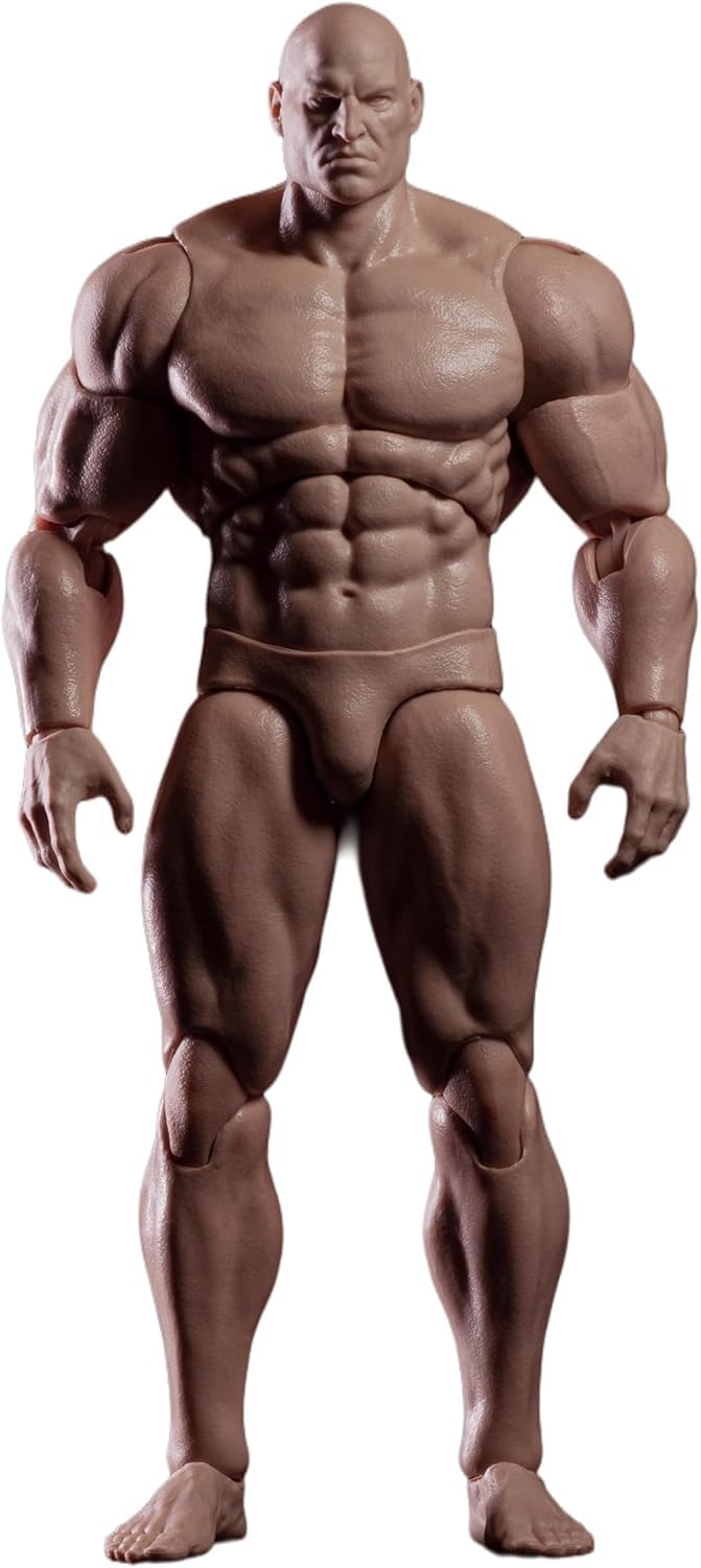 RoofWorld 1/12-scale strong body for poseable anatomy modeling.