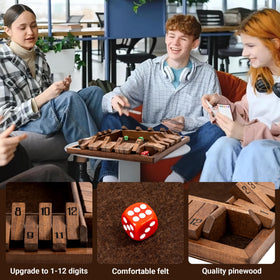ropoda shut the box dice game in action for all ages