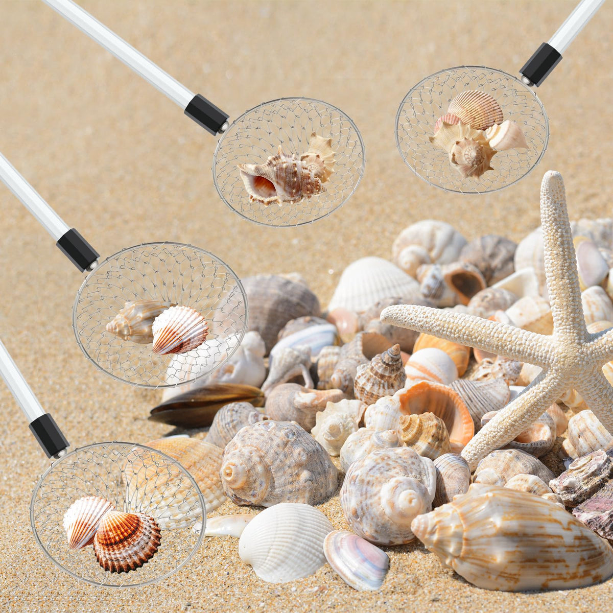 Roshtia mesh scoop shell-collector for precise sieving of small shells