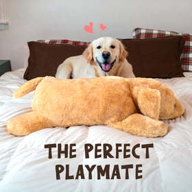 Royal Brooks gift-ready giant plush toy for birthdays and holidays